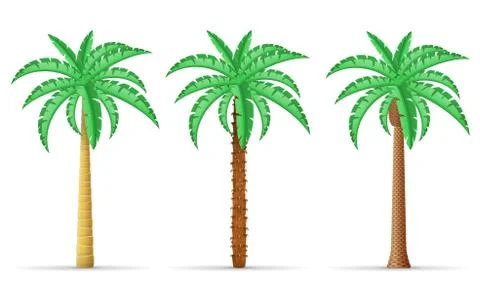 Palm tree vector illustration Stock Illustration