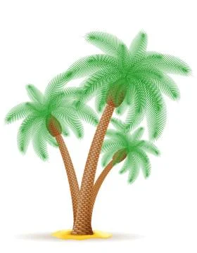 Palm tree vector illustration Stock Illustration