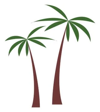 Palm tree vector illustration. Tropical plant coconut palm isolated on white Stock Illustration
