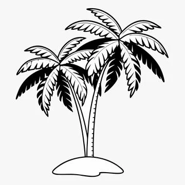 Palm Tree Vector Illustration Tropical Flat Desig vector illustration design  Stock Illustration