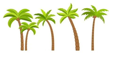 Palm tree vector island coconut cartoon icon. Palmtree island desert isolated Stock Illustration