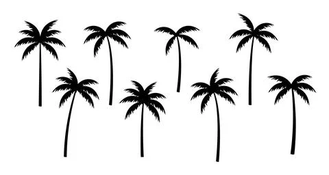 Palm tree vector silhouette coconut icon. Tropic palm tree miami black summer Stock Illustration