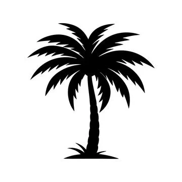 A Palm tree vector silhouette isolated on a white background Stock Illustration