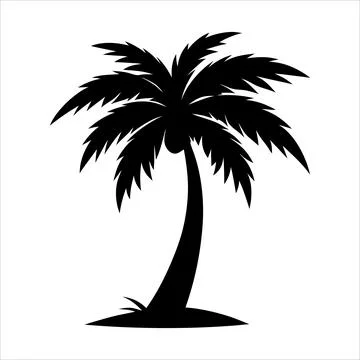 A Palm tree vector silhouette isolated on a white background Stock Illustration