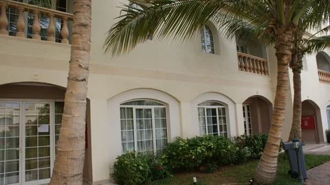 The palm tree view front of the house Stock Photos