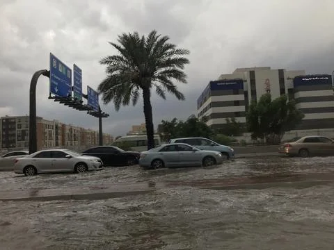 The palm tree view in the highway with full of water Stock Photos