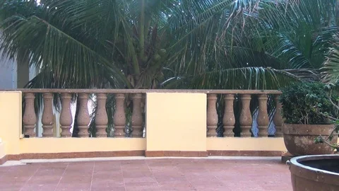 Palm tree view from hotel room Stock Footage 129178528