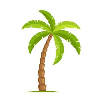 Palm Tree on White Background. Vector 库存插图