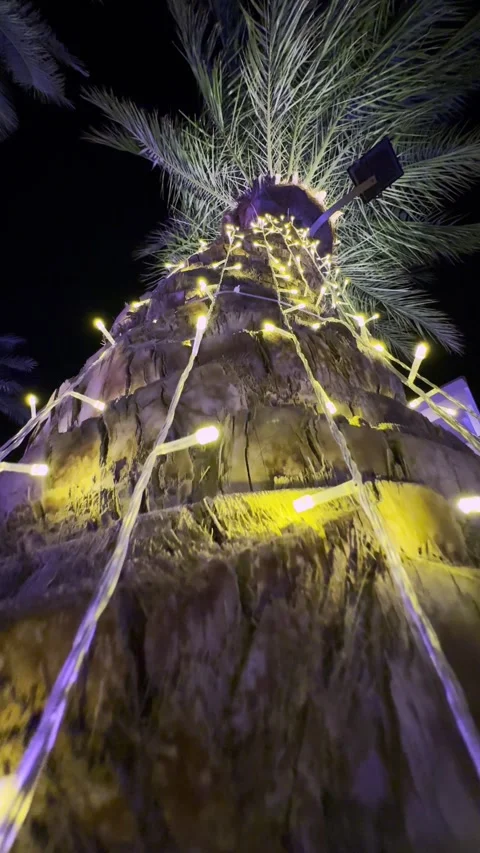 Palm tree wrapped in glowing string lights at night Stock Footage 321196034