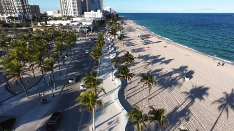 Palm Trees 4K Traffic At Beach Miami Cinematic B-Roll Stock Footage 293402742