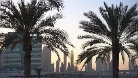 Palm trees against the backdrop of the city Stock-Footage 132952483