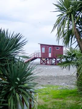Palm trees against the backdrop of a cloudy gray sky. Rescue booth at sea i.. Stock Photos