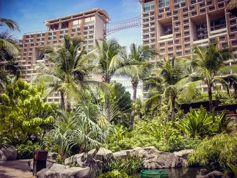 Palm trees against the background of the highest hotels in sunny day in Thail 스톡 사진