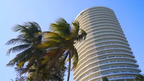 Palm trees against the background of modern apartment buildings near the beac Stock Footage 129181885