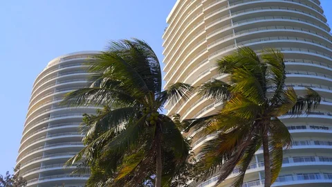 Palm trees against the background of modern apartment buildings near the beac Stock Footage 129182016