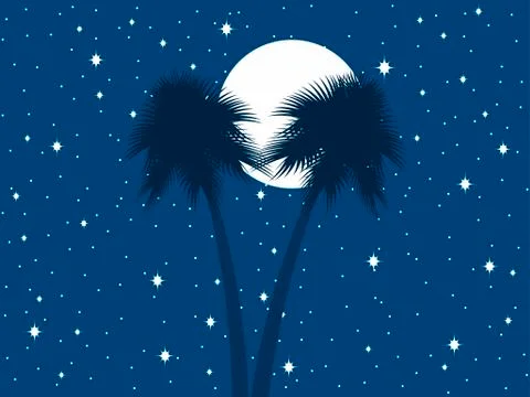 Palm trees against the background of the moon and the starry sky. Vector il.. Illustrazione stock