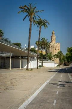 Palm trees against a blue sky in Seville, Spain, Europe wih Torre del Oro in  Stock Photos