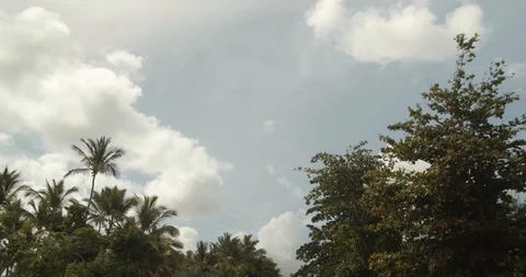 Palm Trees Against the Sky &amp; Clouds, Driving Around Slow Motion Stock Footage 112435347