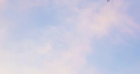 Palm trees against sky Video stock 108633028