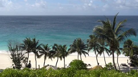 Palm trees against the sky or sea 11 Stock-Footage 111367642
