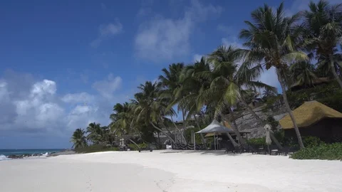 Palm trees against the sky or sea 17 Stock Footage 112182499