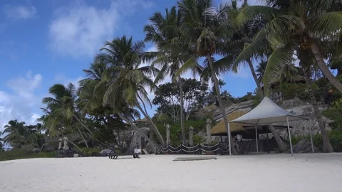 Palm trees against the sky or sea 18 Stock Footage 112182572