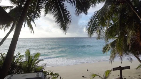 Palm trees against the sky or sea 22 Video stock 112183652