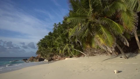 Palm trees against the sky or sea 23 Stock Footage 112183872