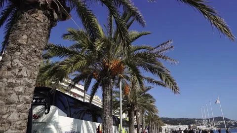 Palm trees along the beach and road on the French Riviera in Nice Stock Footage 146027371
