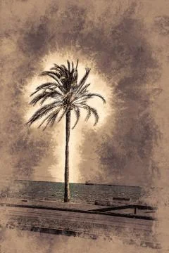 Palm trees along the coast in Palma de Mallorca 스톡 일러스트