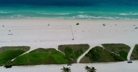 Palm Trees along an empty South Beach Stock Footage 149559142