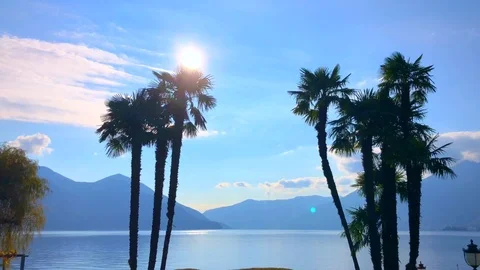 Palm Trees on Alpine Lake with Sunlight and Mountain Stock Footage 111574055