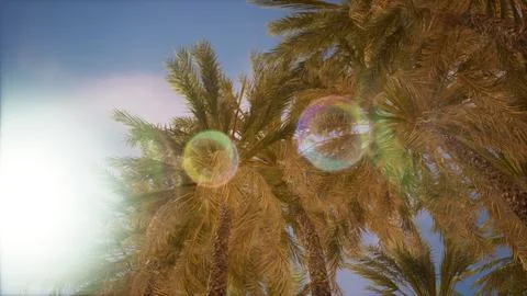 Palm trees and blue sky at tropical coast イラスト素材