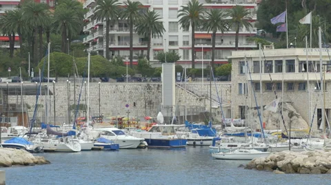 Palm trees and buildings behind sailboats anchored in the port of Nice Stock Footage 61088024