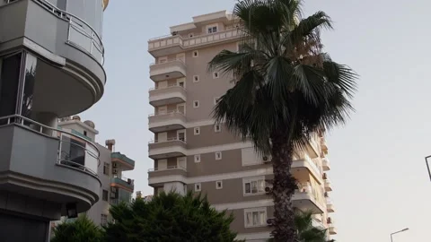 Palm Trees and Buildings Stock Footage 339703024