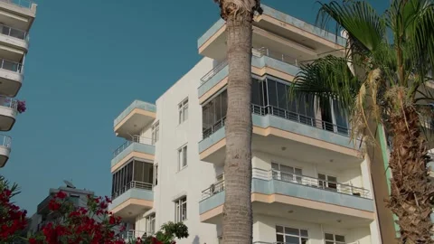 Palm Trees and Buildings Stock Footage 339703404