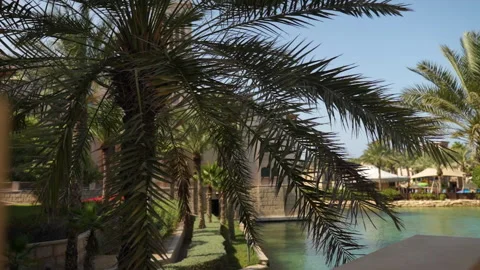 Palm trees and canal views Vídeo Stock 163663524