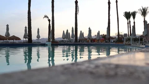 Palm trees and closed umbrellas reflect in calm turquoise pool water at sunrise  Stock Footage 310470396