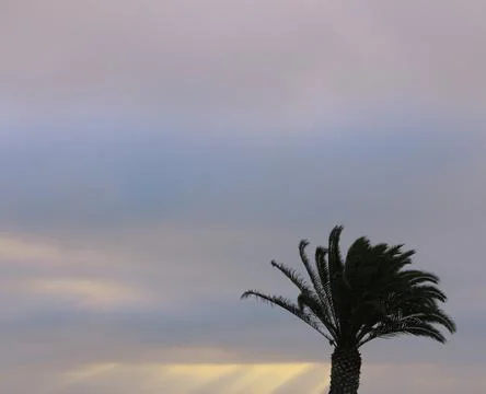 Palm trees and colorful sky with beautiful sunset Stock Photos