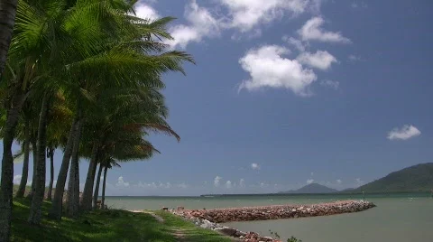 Palm trees and distant island Stock Footage 863692