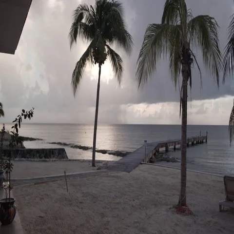 Palm Trees and Dock on Tropical Beach Stock Footage 69665153