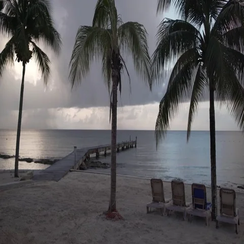 Palm Trees and Dock on Tropical Beach Stock Footage 69665553