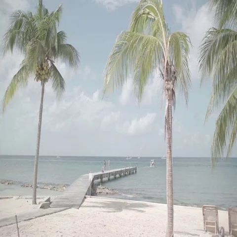 Palm Trees and Dock on Tropical Beach Stock Footage 69669078