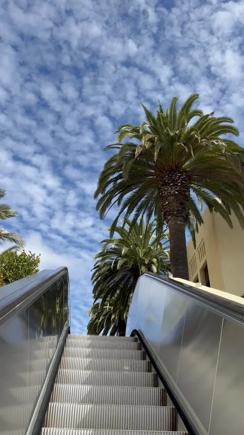 Palm trees and escalator under blue sky with clouds in California Stock Footage 316761641
