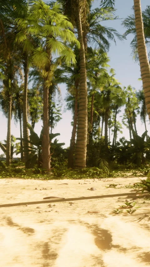 Palm trees and green plants along sandy path in bright daylight Stock Footage 340646572