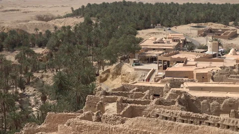 Palm trees and historic Berber homes in Chebika village and oasis in Tunisia Stock Footage 345034325