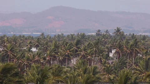 Palm Trees And Lagoon Stock Footage 7899841
