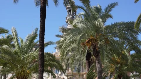 Palm Trees and Mediterranean Building Under Blue Sky Stock Footage 346326744
