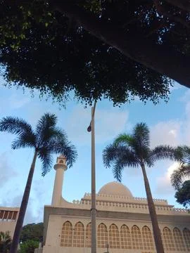 Palm trees and mosque Stock Photos