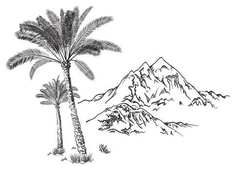 Palm trees and mountains. Hand drawn vector illustration Stock Illustration